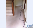 carpet-cleaning-ashford-kent-area
